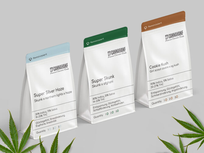 PLASTIC CANABIS plants